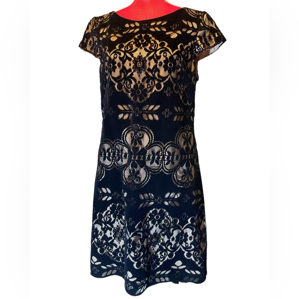 Eliza J burnout velvet like dress 14